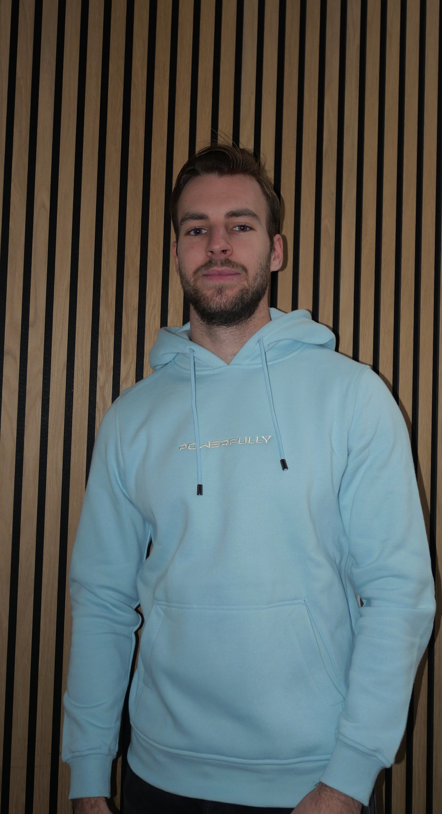 Embroidered Hoodie Light Blue