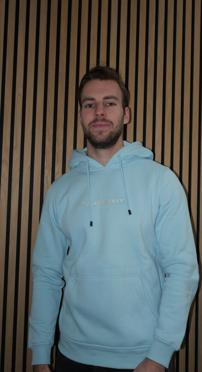 Embroidered Hoodie Light Blue